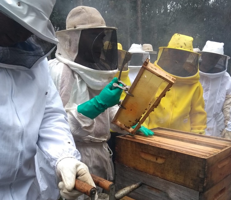 Núcleo de Apicultores da ACIC promove Dia de Campo